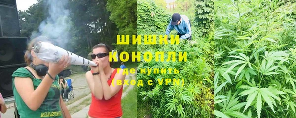 МДПВ Семёнов