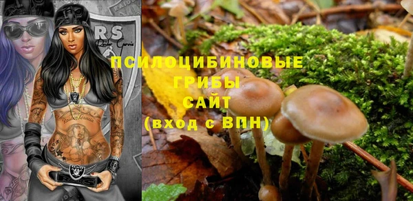 гидра Беломорск