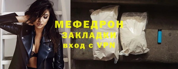 индика Богородицк