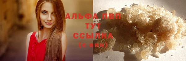 гидра Беломорск