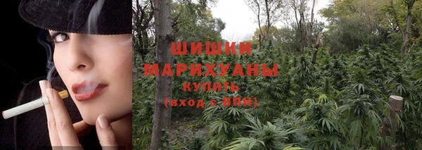 MDMA Гатчина