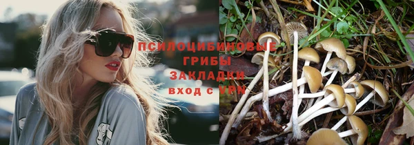 гидра Семилуки