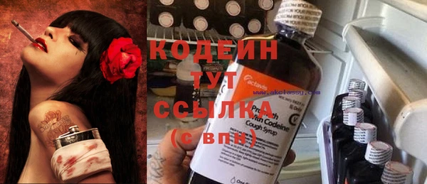 МДПВ Семёнов